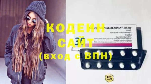 прущие грибы Балабаново